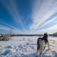 Кузьма на страже :: Анастасия Логинова