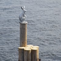 Заяц :: Валерий Пославский