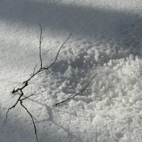 Б/Ч :: Любовь 