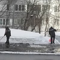 Чистим снег :: Дмитрий Никитин