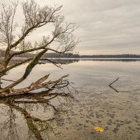 Озеро Выштенец. Осень. :: Владимир Самсонов