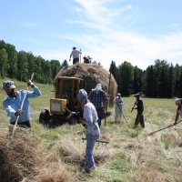 СЕНОКОС :: Tata Wolf