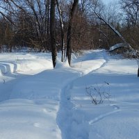 С мыслями уже о весне :: Андрей Лукьянов С мыслями уже о весне :: Андрей Лукьянов