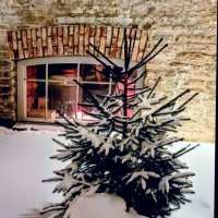 Вечерняя прогулка :: Veera V Вечерняя прогулка :: Veera V