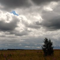 Ветер тучи нагоняет. :: nadyasilyuk Вознюк