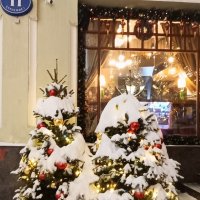 мороз снежком укутывал... :: Галина R... мороз снежком укутывал... :: Галина R...