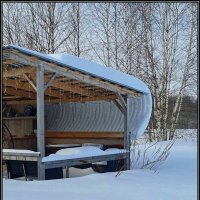 Снежная "фата" :: Ольга Довженко