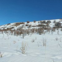 Ак Булак. Талгар. :: Murat Bukaev 