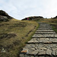 Лисья горка :: Елена Шаламова