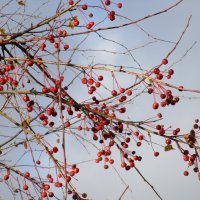 сентябрь Урал :: Елена Шаламова сентябрь Урал :: Елена Шаламова