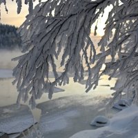 У реки :: Ольга У реки :: Ольга