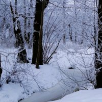 Заснеженный парк :: Рита Симонова