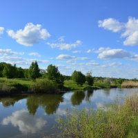 **** :: Виктор 