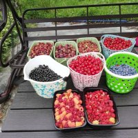 Дачный урожай :: Евгений 