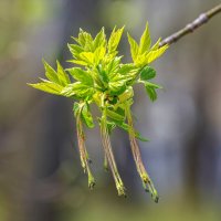 А впереди весна :: Виктор Иванович Чернюк