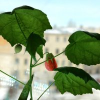 ... :: ВЛАДИМИР ... :: ВЛАДИМИР