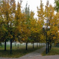 Скромное обаяние южной осени :: Владимир Жуков