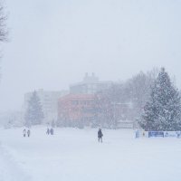 Снегопад. :: Владимир А.Р. 