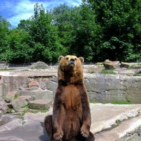 Люди добрые,подайте Христа ради! :: Сергей Карачин