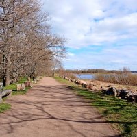 Аллея у Финского залива. :: Лия ☼