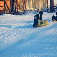 Зимний  день :: Сергей Кочнев