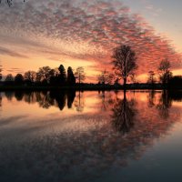 sunset :: Elena Wymann