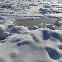 на Северном полюсе :: Anna-Sabina Anna-Sabina