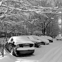 Снежный февраль :: Олегъ Петрович