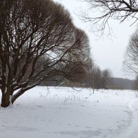 Вот тебе и проводили зиму! :: Андрей Лукьянов