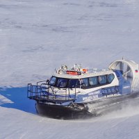 " Снежок-1" :: Ольга 