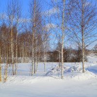 Предвесеннее) :: Татьяна Лютаева