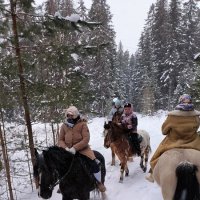 В зимнем лесу. :: Ольга 