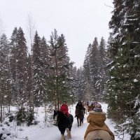 В компании единомышленников. :: Ольга В компании единомышленников. :: Ольга