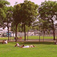 Барселона. :: Владимир Драгунский