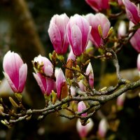 Доброе утро :: Юрий. Шмаков