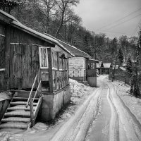 Первый снег. :: Владимир Гришин