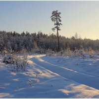 Зимняя дорога :: Aleksandr Gal