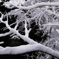 Волшебная зимняя пора :: Рита Симонова