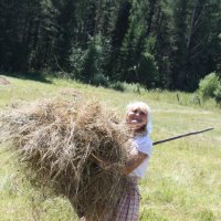 СЕНОКОС :: Tata Wolf