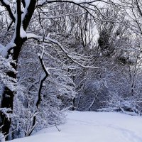 Волшебная зимняя пора :: Рита Симонова