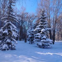 Зимний денек :: Надежда Зимний денек :: Надежда