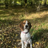 KS :: Андрей Л. В. KS :: Андрей Л. В.