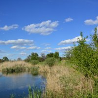 Местная река. :: Виктор 