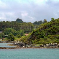 Жизнь на скалах :: В.И 