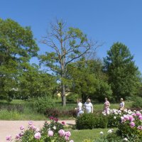 На элскурсии :: Валентин Семчишин На элскурсии :: Валентин Семчишин