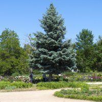 Парк имени Н В Багрова :: Валентин Семчишин Парк имени Н В Багрова :: Валентин Семчишин