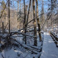 *** :: Геннадий Порохов