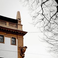 Питер в деталях :: Наталья Герасимова Питер в деталях :: Наталья Герасимова