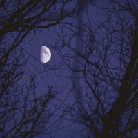 Луна :: Илья Шенгелия Луна :: Илья Шенгелия