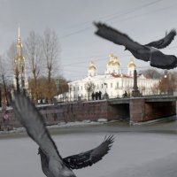 Семимостье :: Игорь Корф